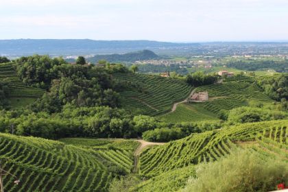 MADRE NATURA - Piccolo Festival del Paesaggio